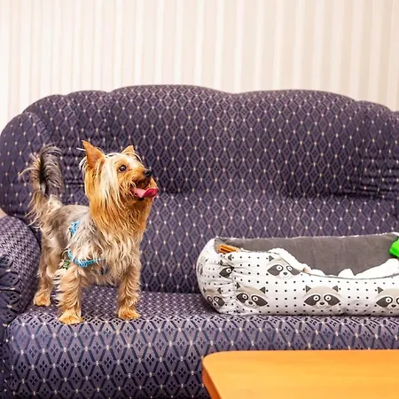 Хотел гранд