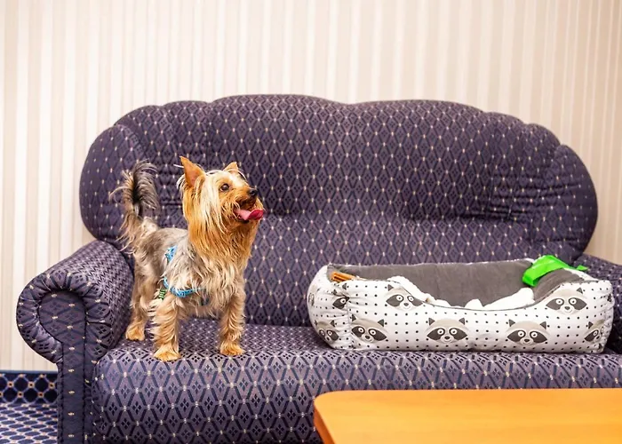 酒店 普罗夫迪夫大酒店