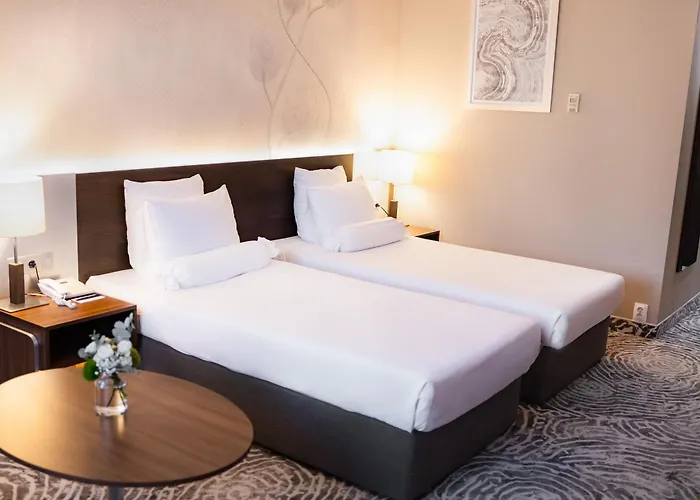 普罗夫迪夫大酒店 4*