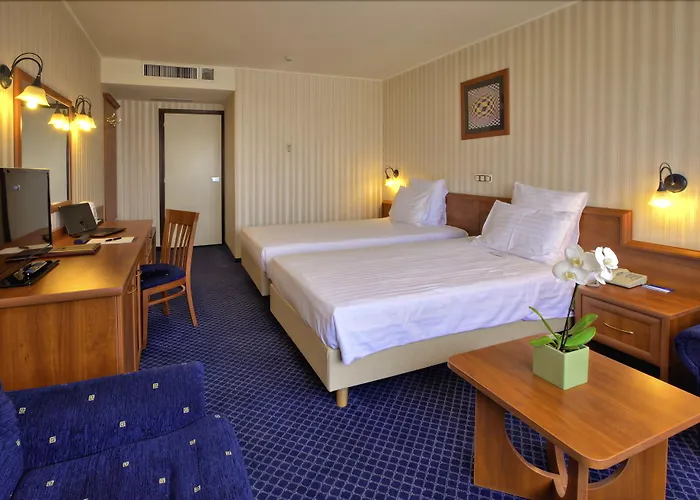 酒店 普罗夫迪夫大酒店