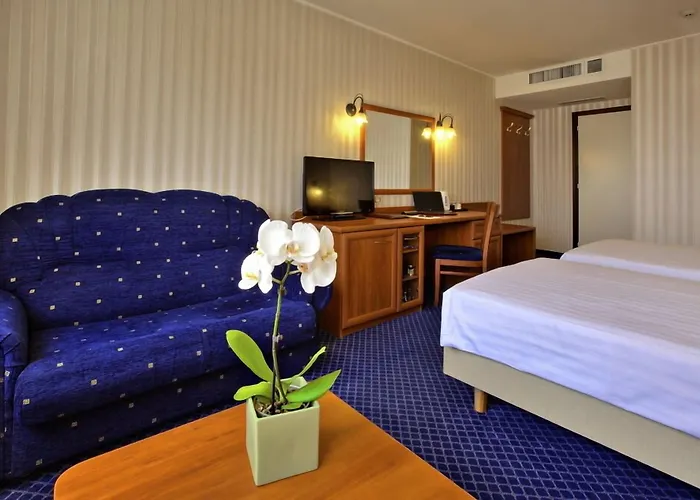 酒店 普罗夫迪夫大酒店 4*