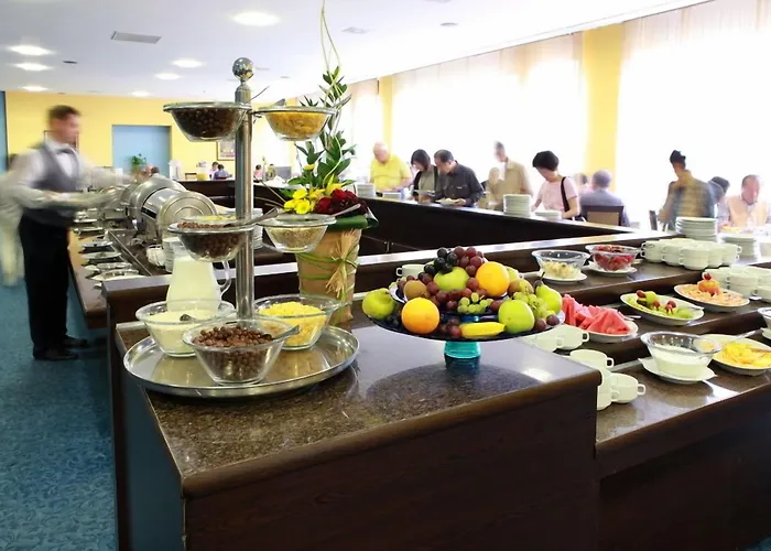 普罗夫迪夫大酒店 酒店